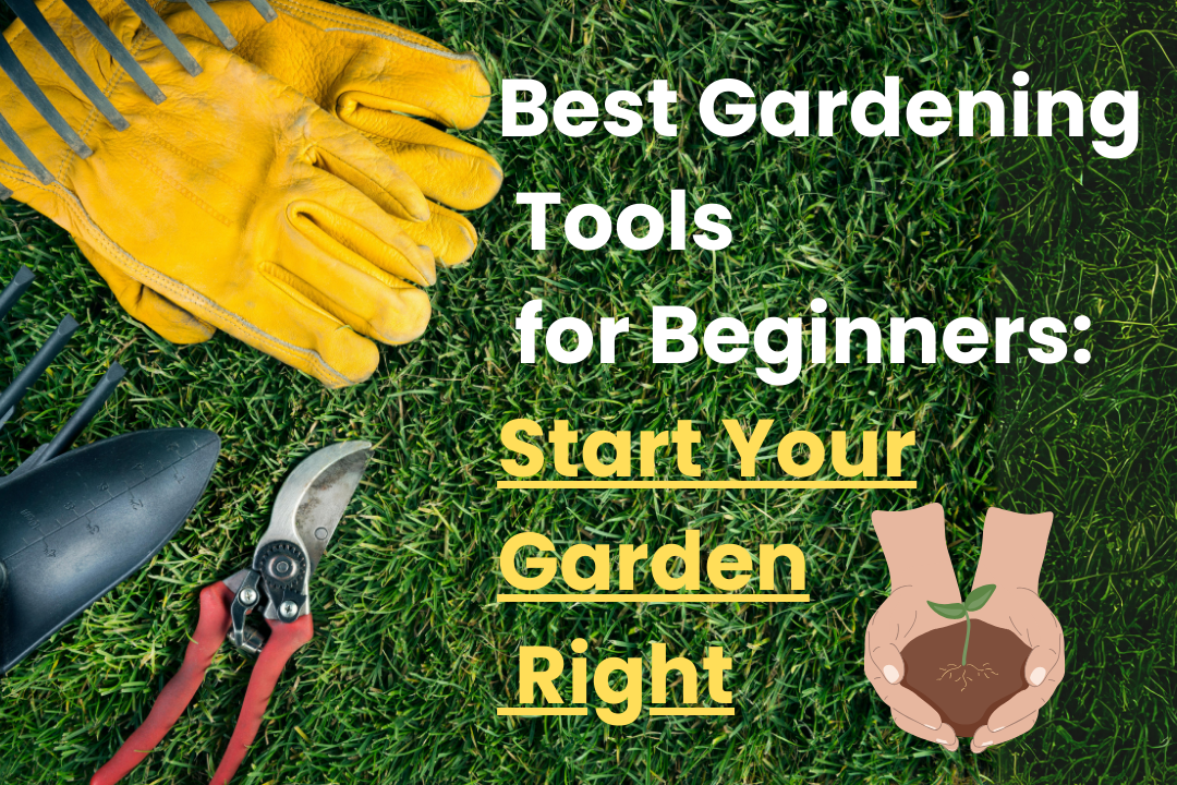 Best Gardening Tools for Beginners