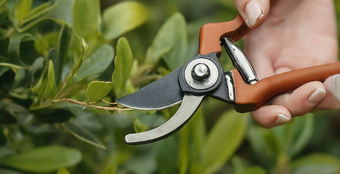 Hand Pruners