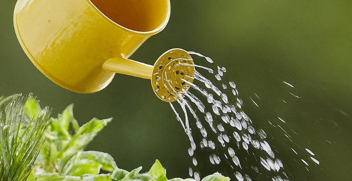 Watering can