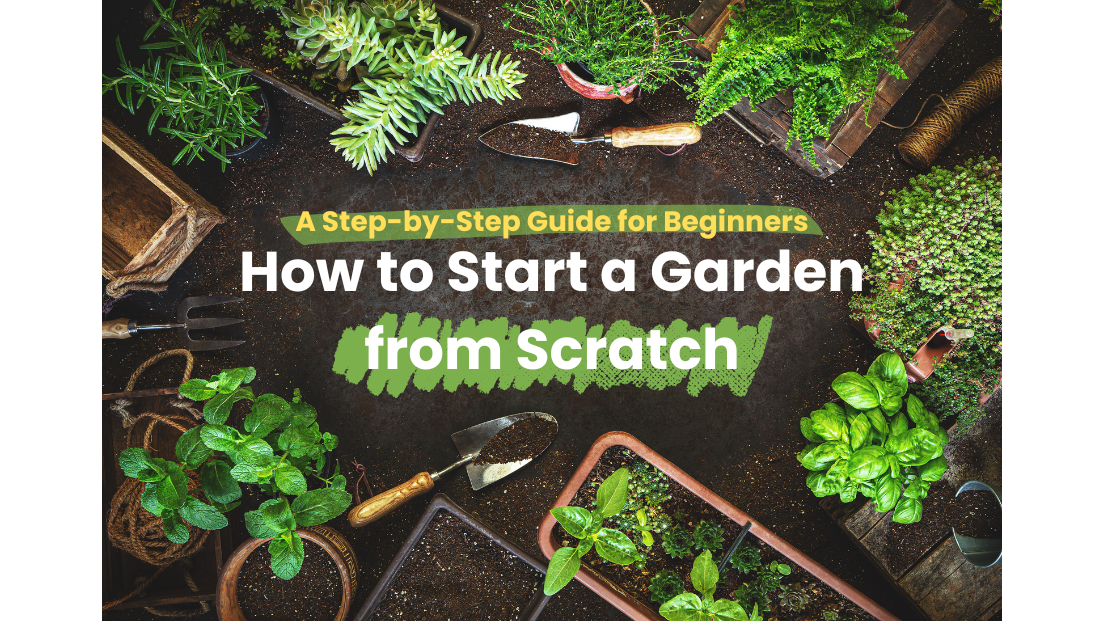 How to Start a Garden from Scratch: A Step-by-Step Guide for Beginners